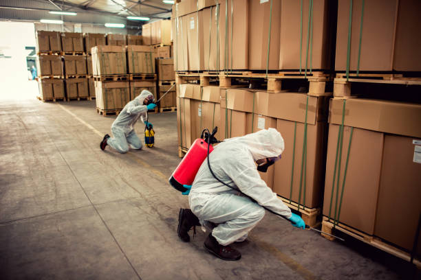 Best Bed Bug Extermination  in Watervliet, MI