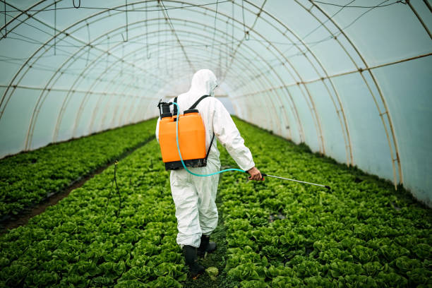 Best Pest Inspection Near Me  in Watervliet, MI