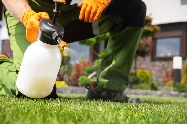 Pest Control for Restaurants in Watervliet, MI