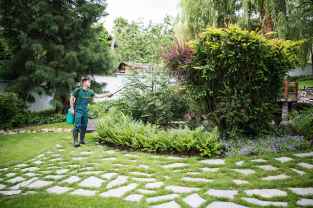 Best Pest Prevention Services  in Watervliet, MI