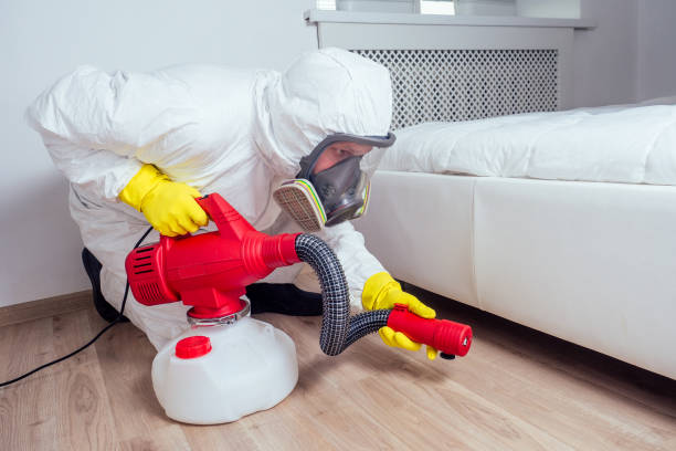 Best Affordable Pest Control Services  in Watervliet, MI