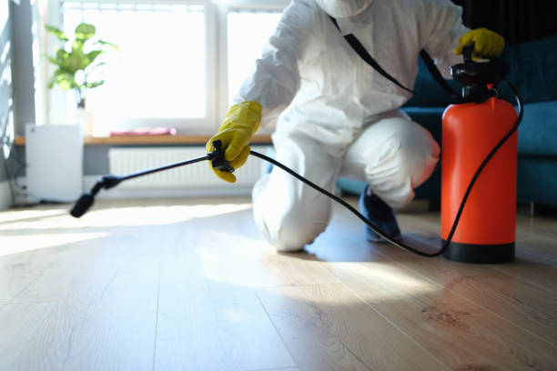 Best Best Pest Control Companies  in Watervliet, MI