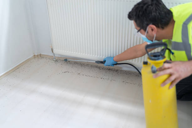 Best Termite Control Services  in Watervliet, MI