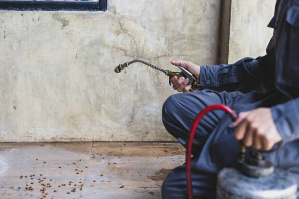 Best Pest Control Cost  in Watervliet, MI